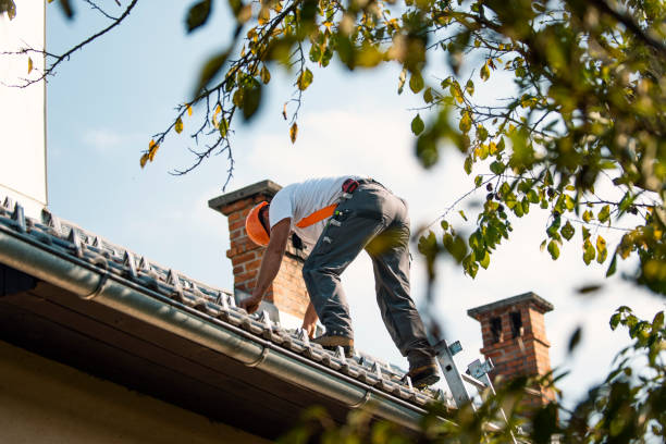 Best Roof Waterproofing Services  in Coopersville, MI