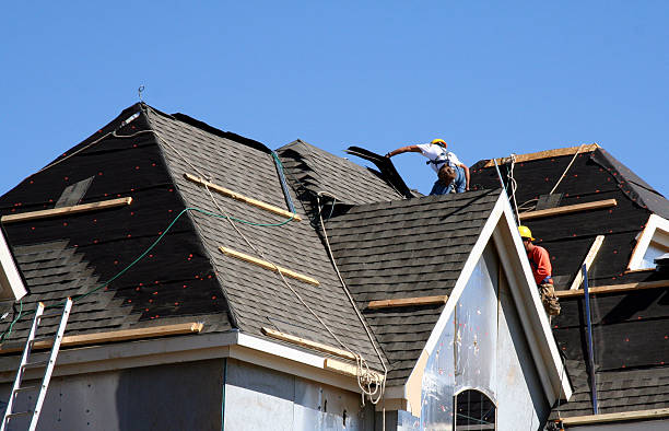 Best Roof Gutter Cleaning  in Coopersville, MI