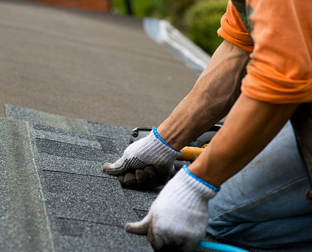 Best Roof Restoration Services  in Coopersville, MI