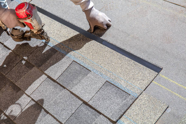 Best Roof Maintenance Services  in Coopersville, MI