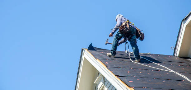 Best Roof Waterproofing Services  in Coopersville, MI